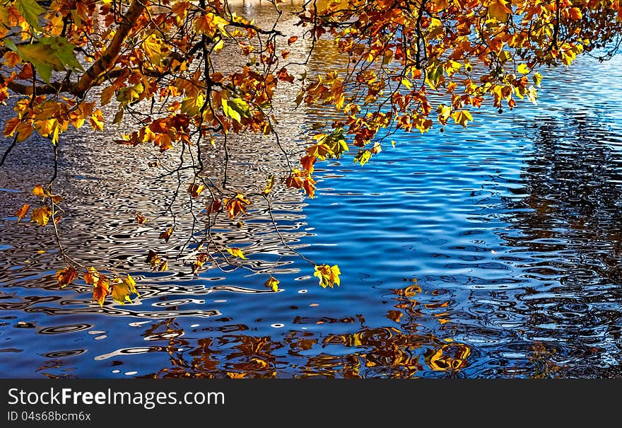 Colorful image of a canal in autumn located in Amsterdam.