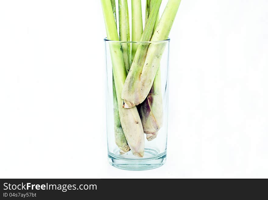 Galangal and Lemon Grass on white background