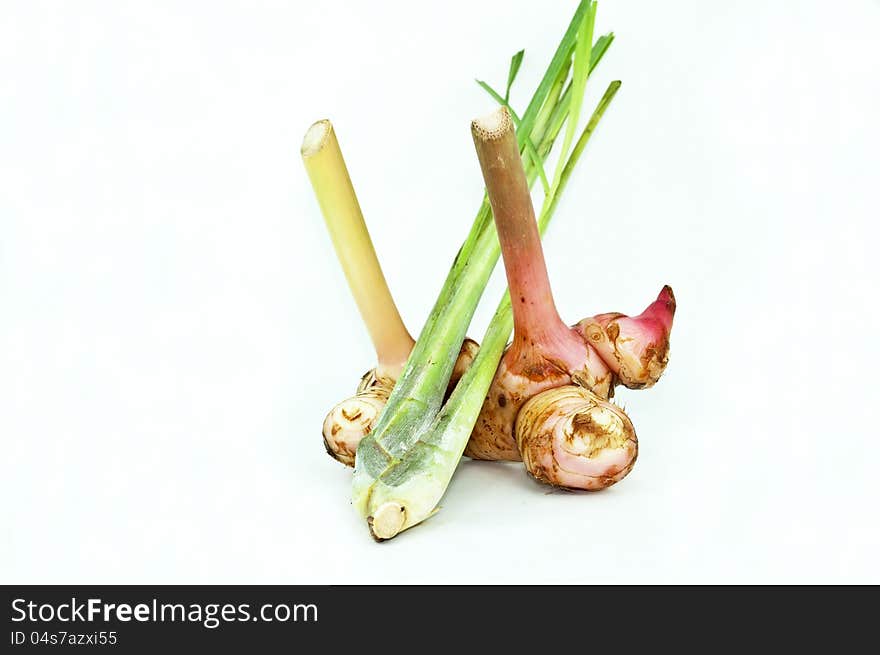 Galangal and Lemon Grass on white background