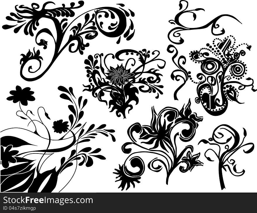 Some flowers on white background