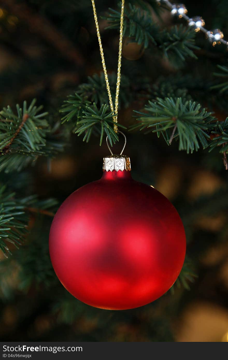 Red glass ball hanging loosely on the twig of the spruce. Red glass ball hanging loosely on the twig of the spruce