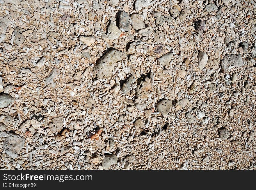 Coral Beach Background - Horizontal