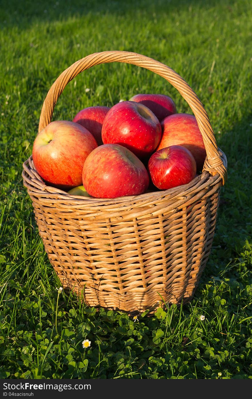 Basket Of Apples