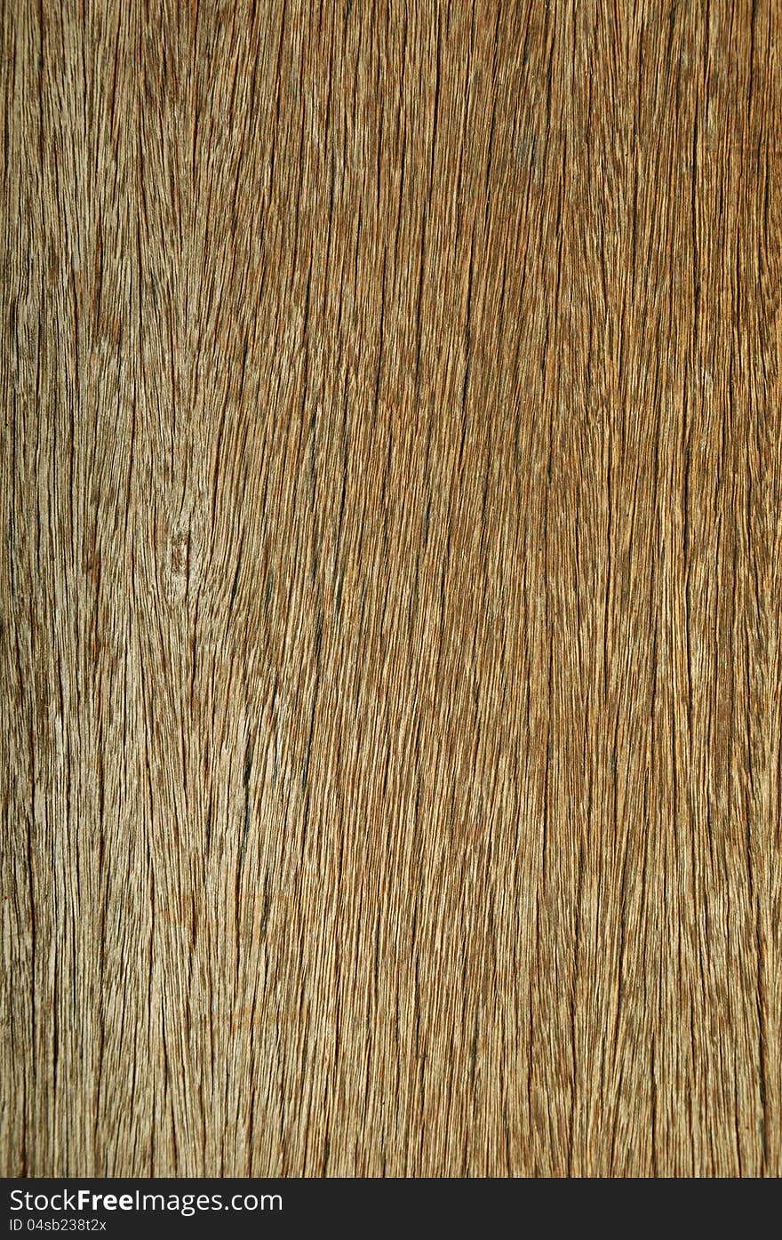 Wood texture