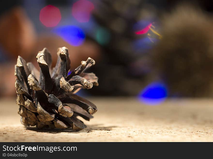 Pine cone with bokeh background