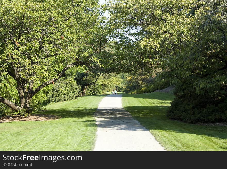 Dreamlike green bath for walking, running or just wondering. Dreamlike green bath for walking, running or just wondering.