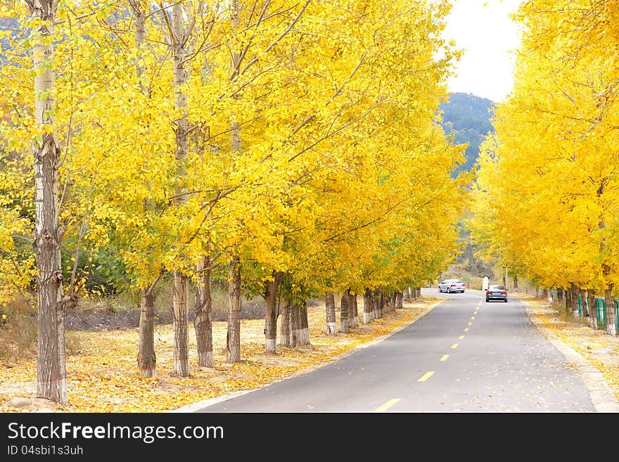 The landscape of autumnal trafficway. The landscape of autumnal trafficway