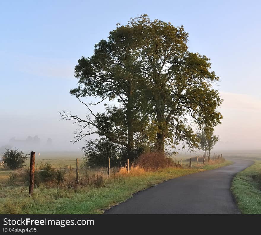 Country Landscapagne At Dawn