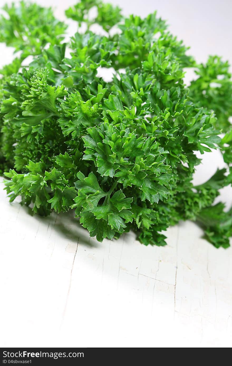 Parsley on a table in a kitchen