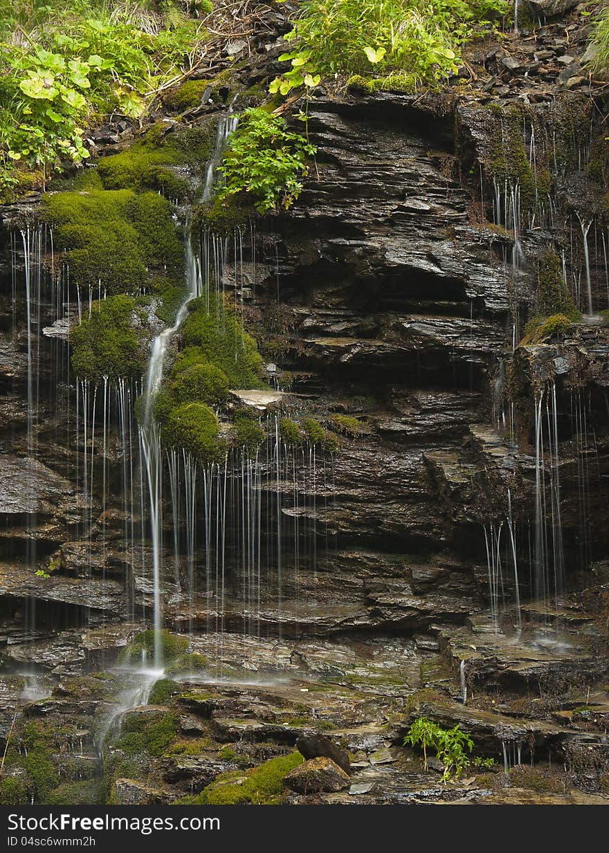 Little Waterfall In The Forest