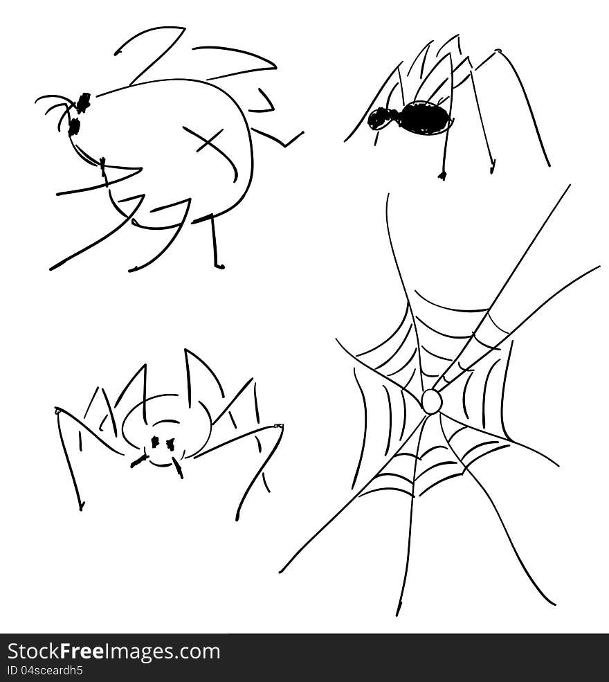 Sketches of spiders