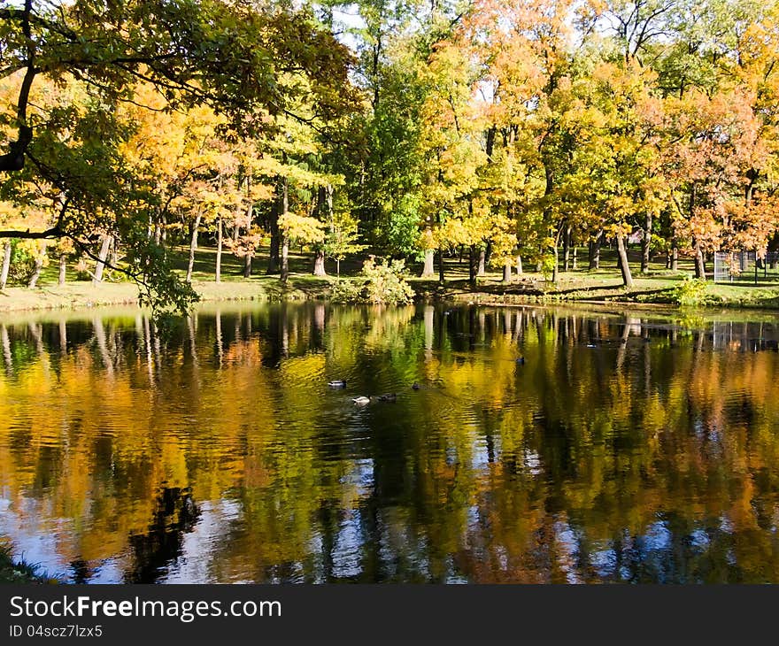 Golden autumn autumn landscape reflected in water