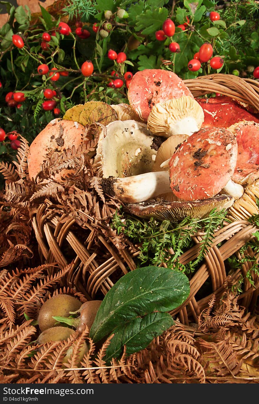 Basket with mushrooms on wooden table