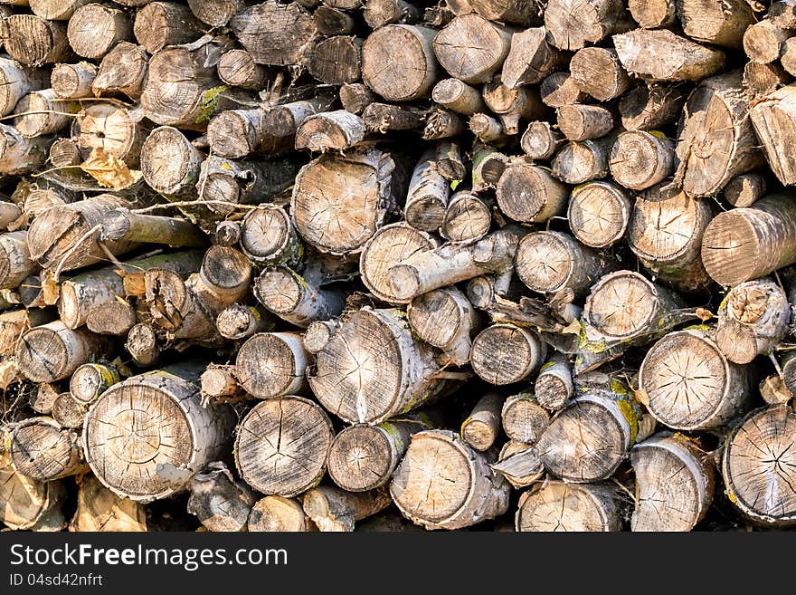 Wood in pile outdoor