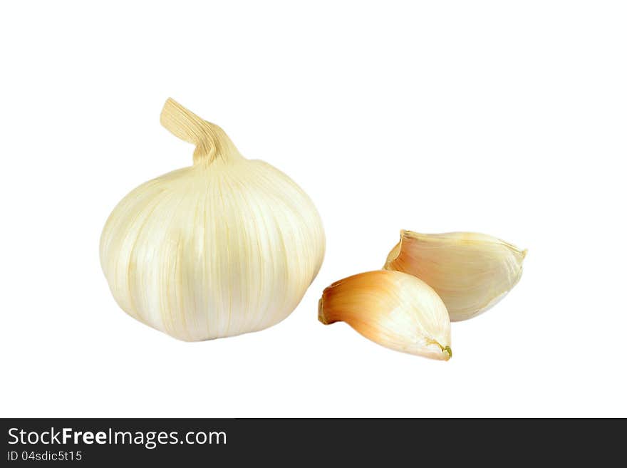 Garlic