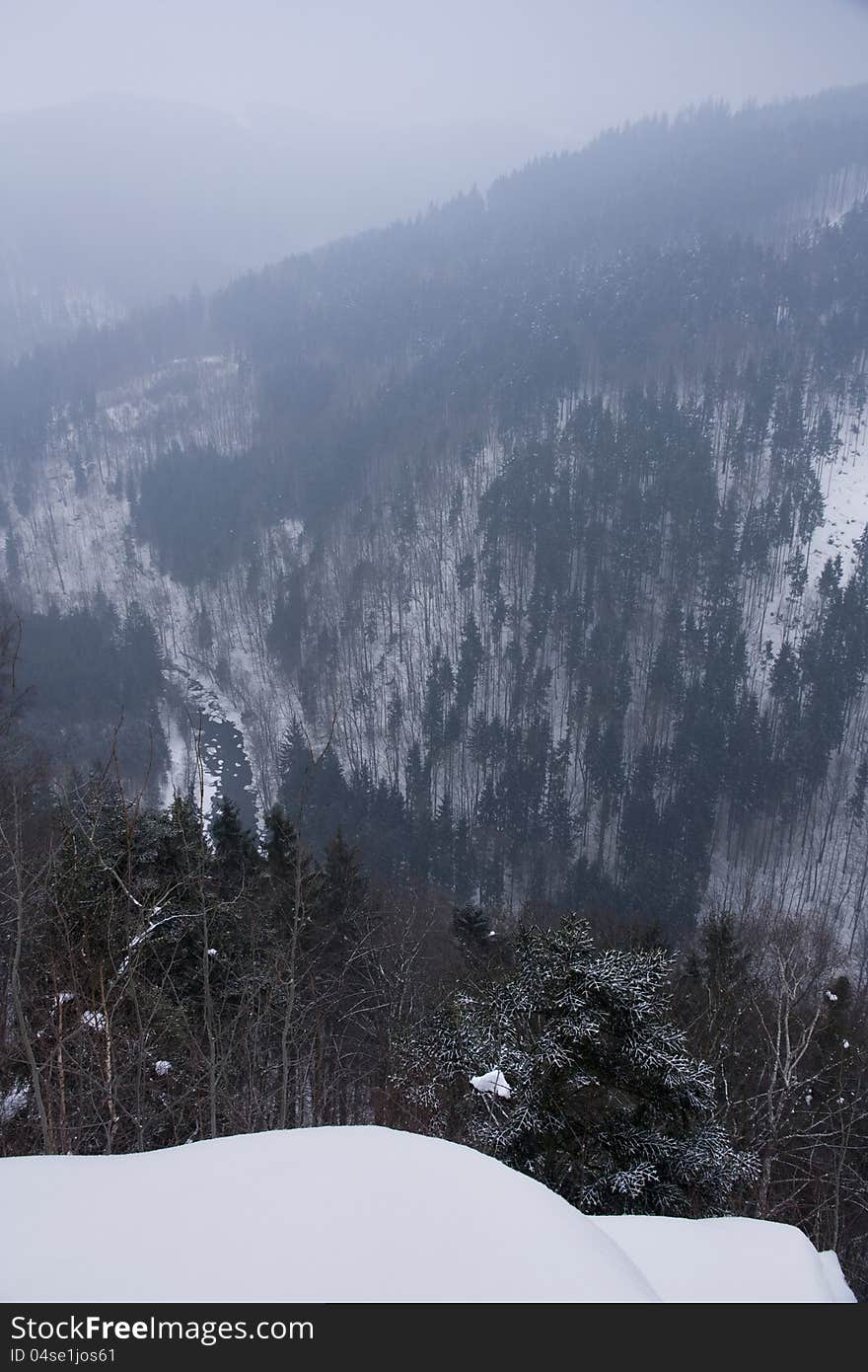 Snowy hill with forest in the mist. Snowy hill with forest in the mist