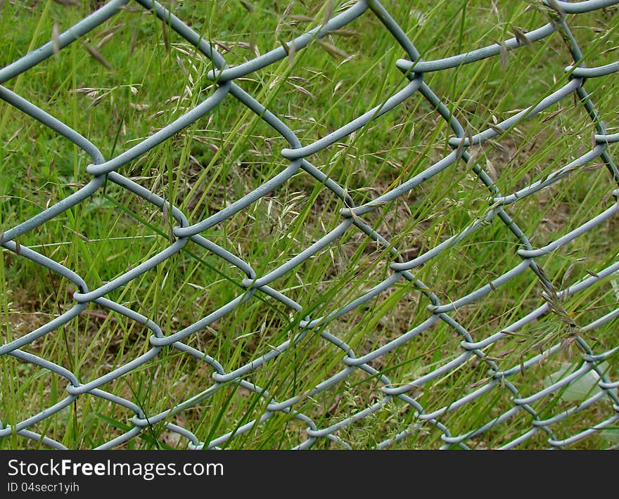 Wire netting fence-and long grasses. Wire netting fence-and long grasses