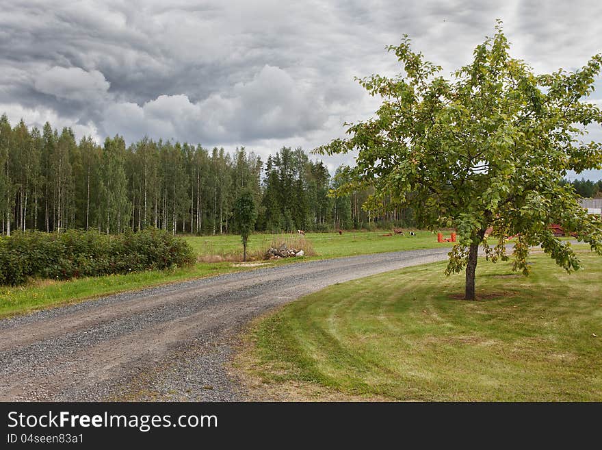 Apple-tree