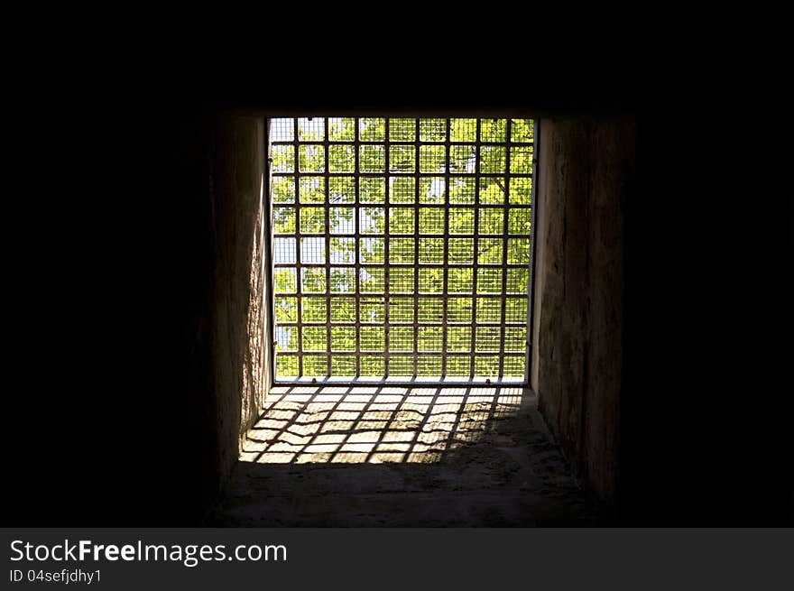 Trees behind bars in a dark room