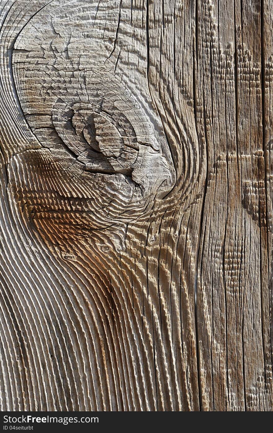 Wood texture with knots and rings. Wood texture with knots and rings