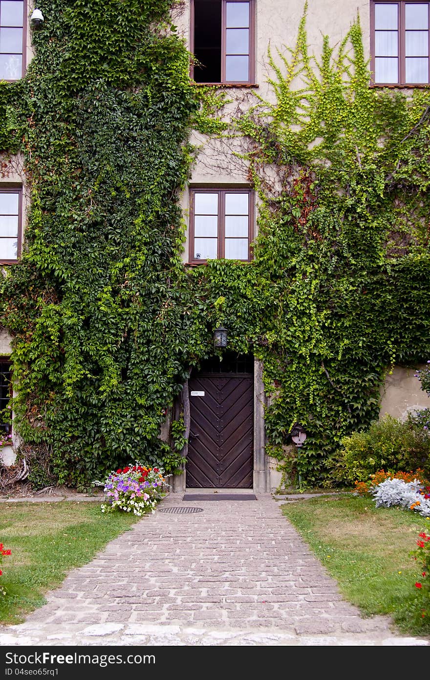 Green wall of Beauty old Palace in Pieskowa Skala - Poland, near Cracow. Green wall of Beauty old Palace in Pieskowa Skala - Poland, near Cracow.