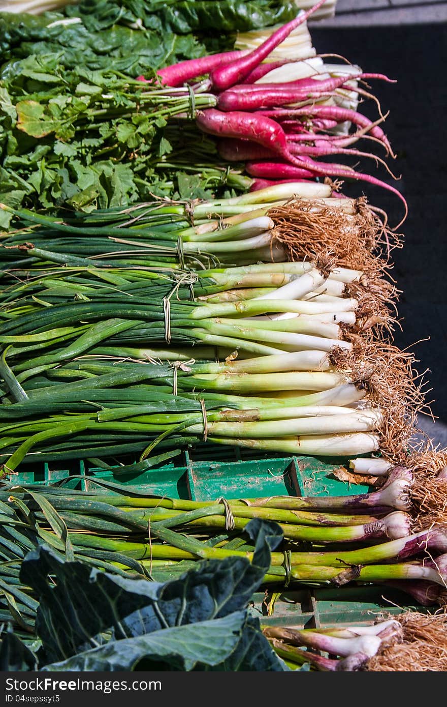 Radish and Onions