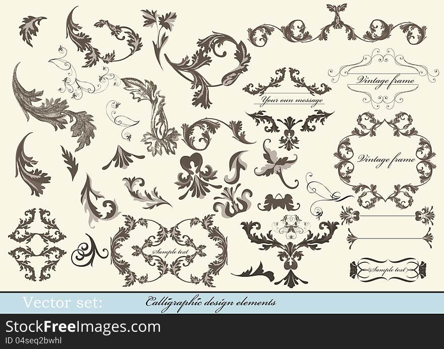 Decorative elements for elegant design. Calligraphic vector. Decorative elements for elegant design. Calligraphic vector