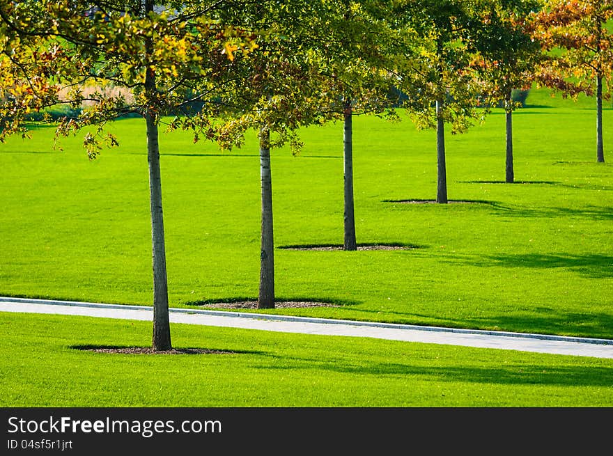 Autumn trees and green grass in the park