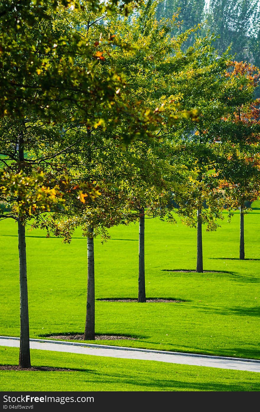 Autumn trees and green grass in the park