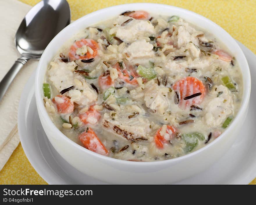 Chicken and Rice Soup Closeup