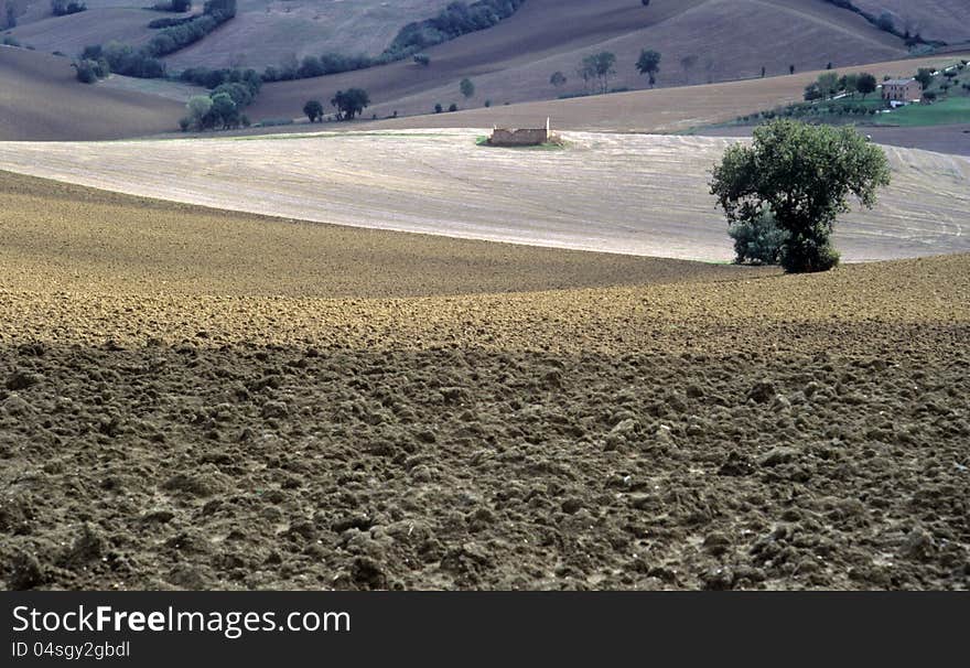 Agricultural land in val of Recanati. Marche region, Italy