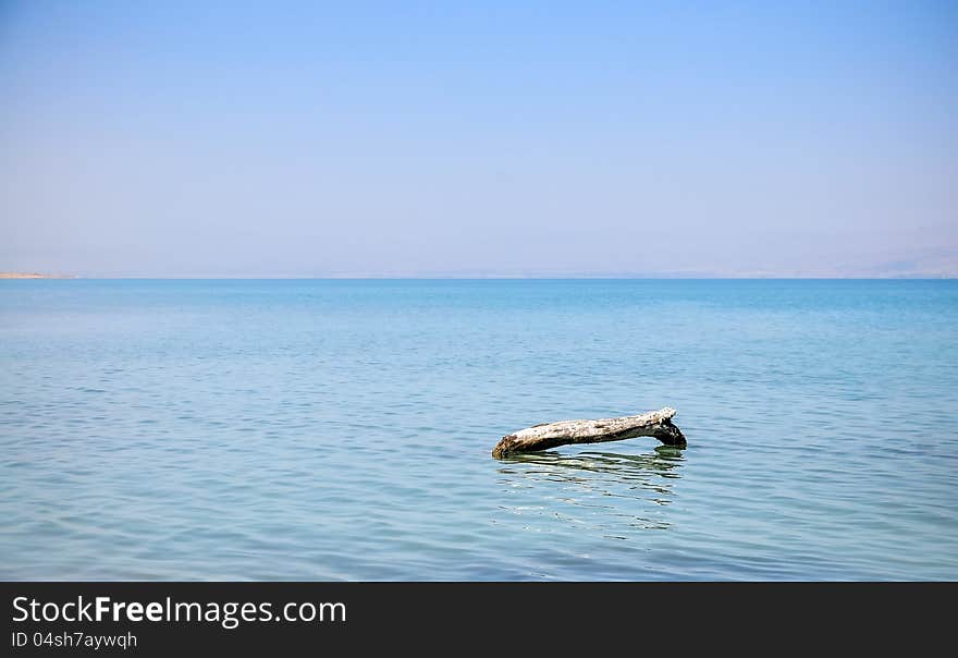 View on the lonely log in the Dead Sea