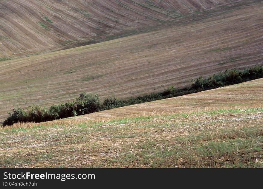 Agricultural land in val of Recanati. Marche region, Italy