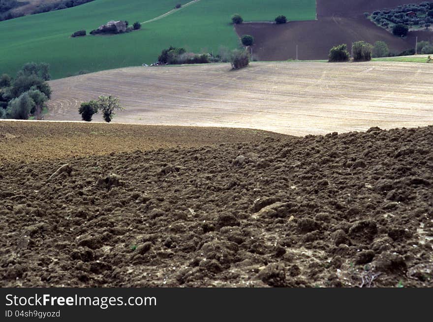 Agricultural land in val of Recanati. Marche region, Italy