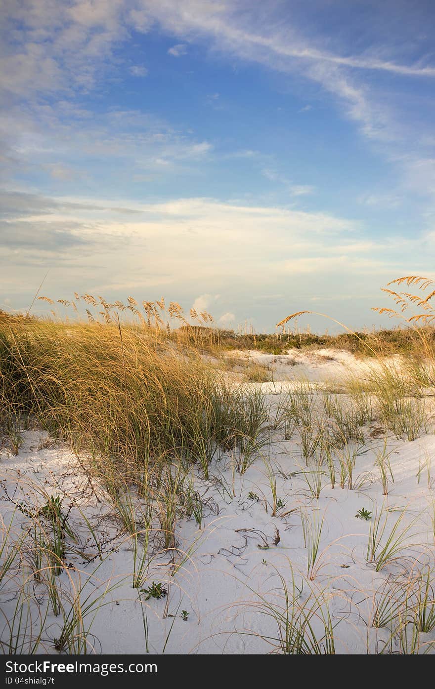 Pensacola Beach Dunes at Sunset