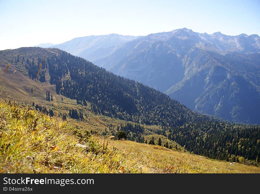 Mountain slope, forested, Abkhazia