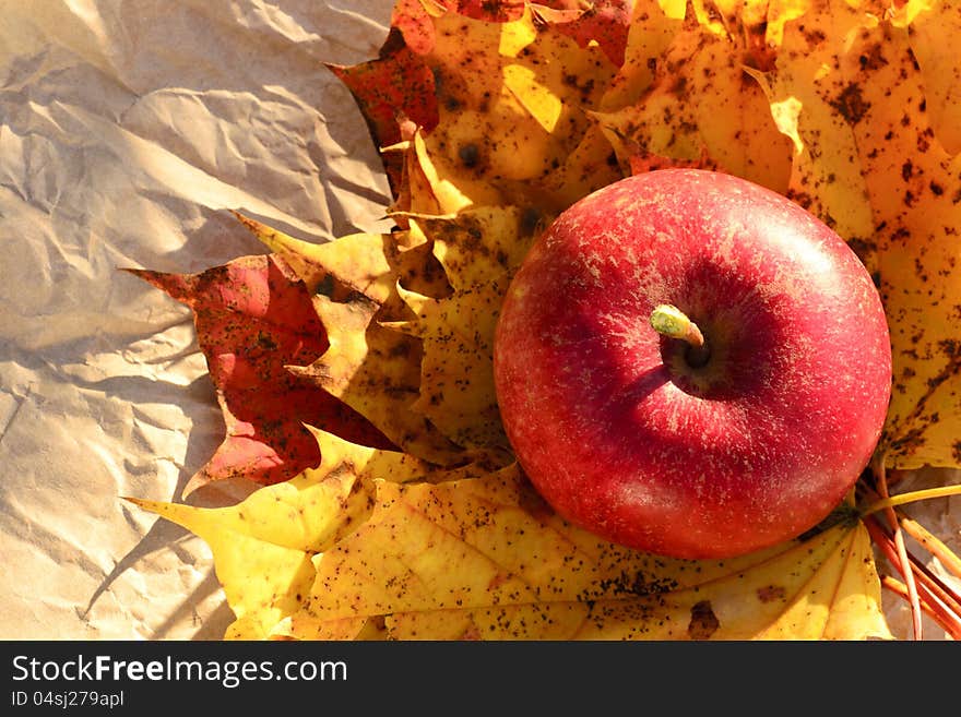 Apple and autumn leaves