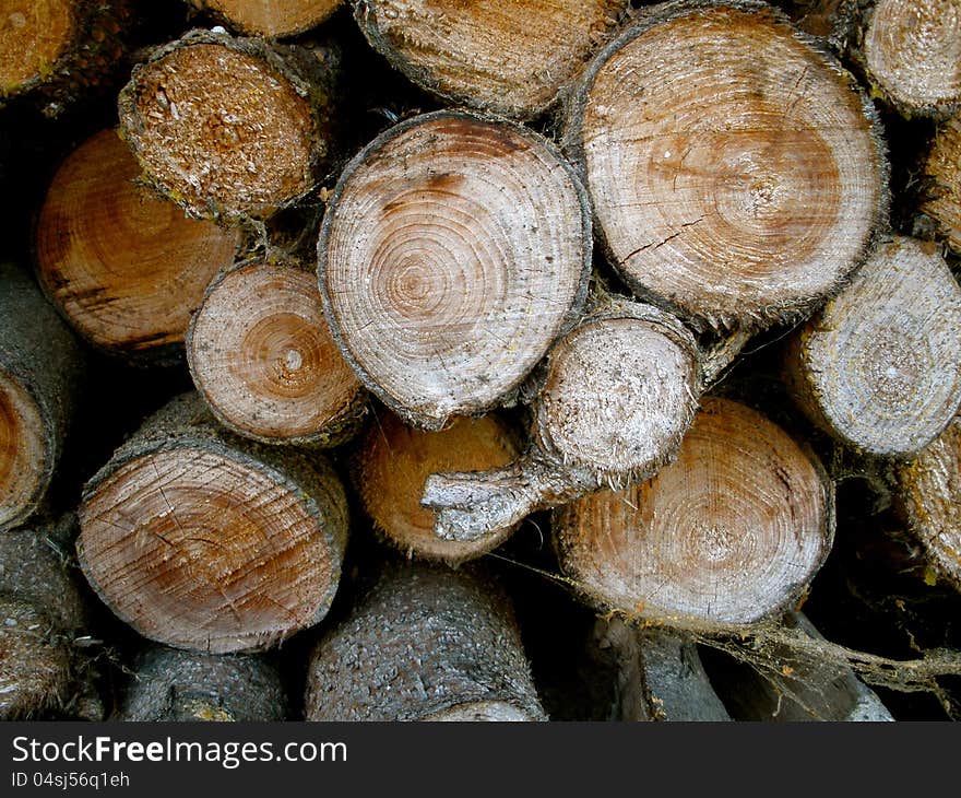 A pile of wood stacked high in preparation for the winter fireplace. A pile of wood stacked high in preparation for the winter fireplace.