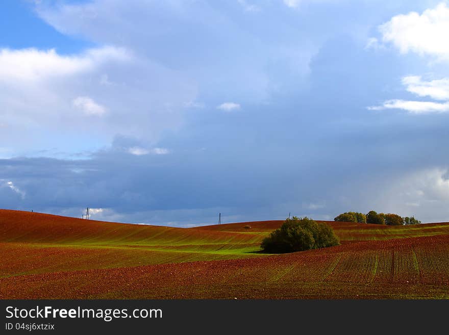 Plowed field under a high blue sky. Plowed field under a high blue sky