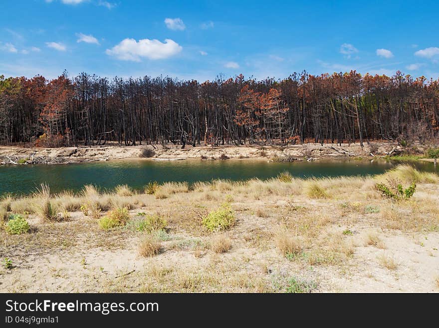 Lagoon of Mouth of Bevano