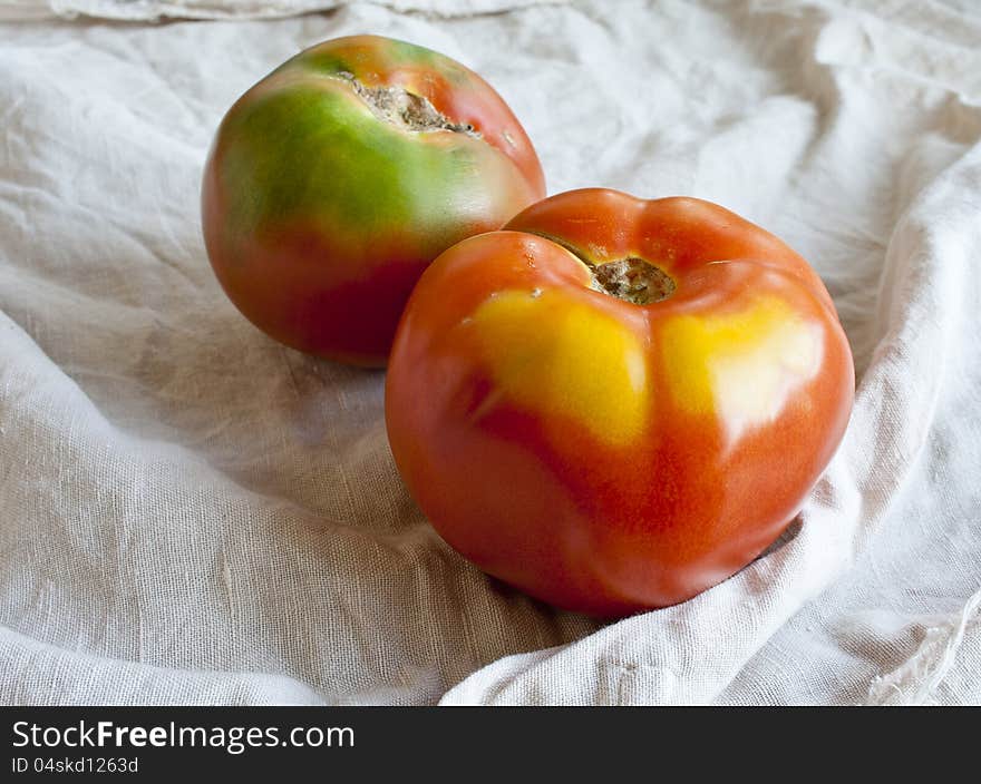 Ripe Tomatoes