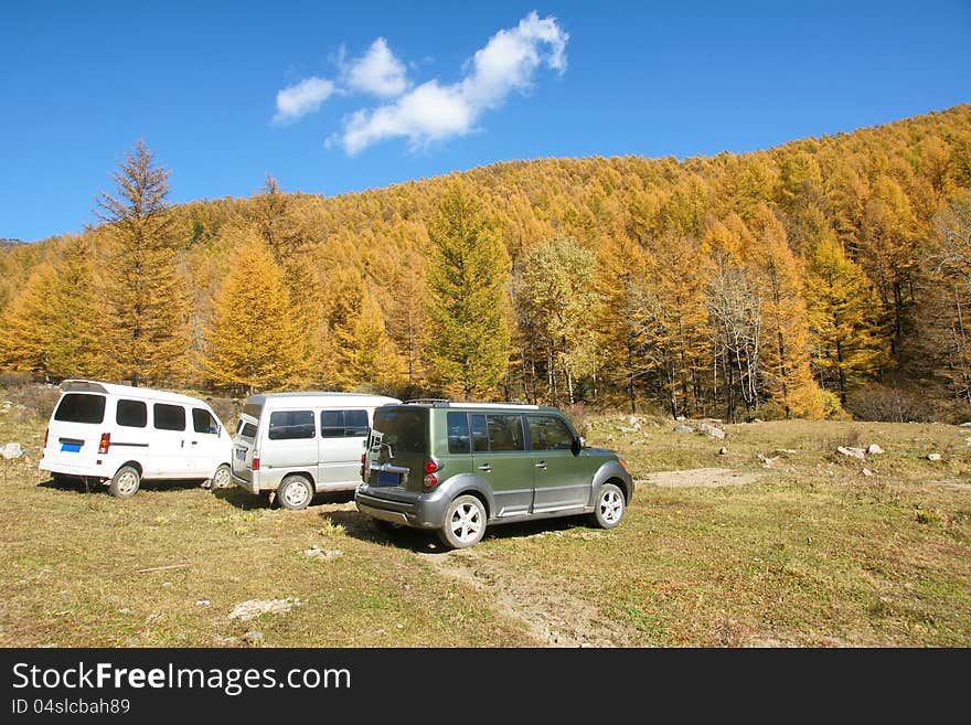 The autumnal mountain scenery with yellow trees and blue sky. The autumnal mountain scenery with yellow trees and blue sky.