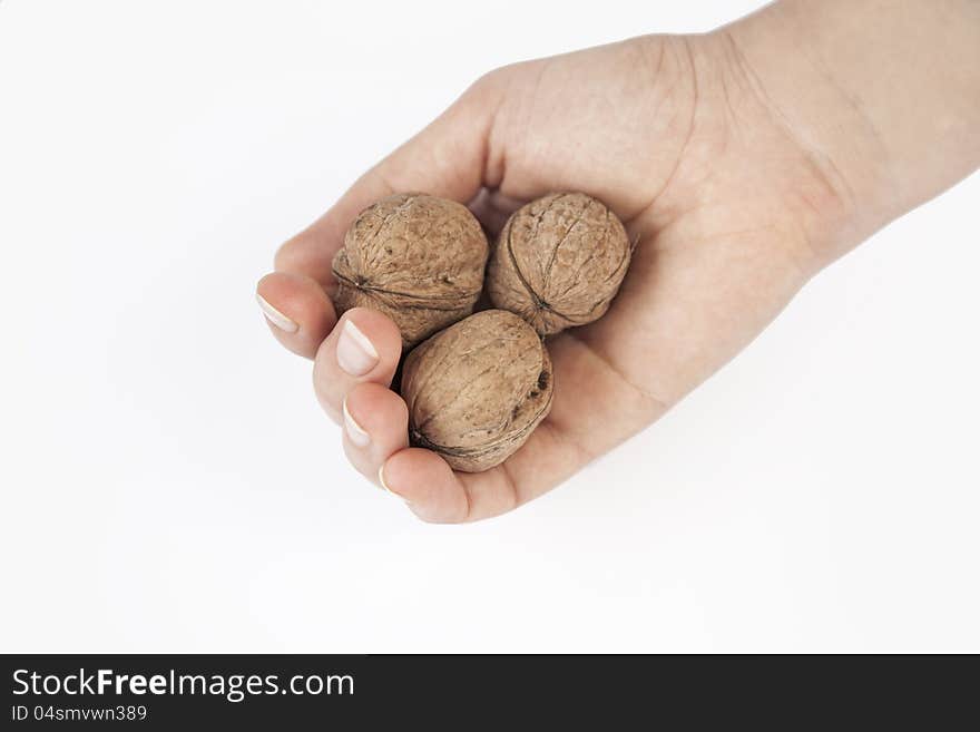 Walnuts and woman hand on the White Background. Walnuts and woman hand on the White Background