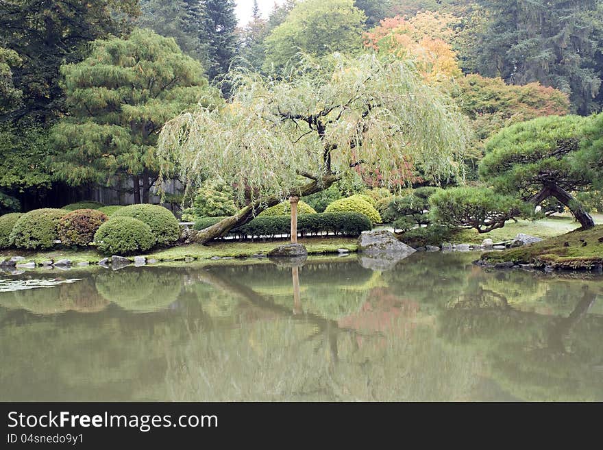 Beautiful fall colors in Japanese garden with reflection. Beautiful fall colors in Japanese garden with reflection.