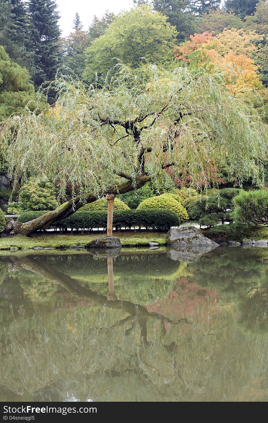 Beautiful fall colors in Japanese garden with reflection. Beautiful fall colors in Japanese garden with reflection.