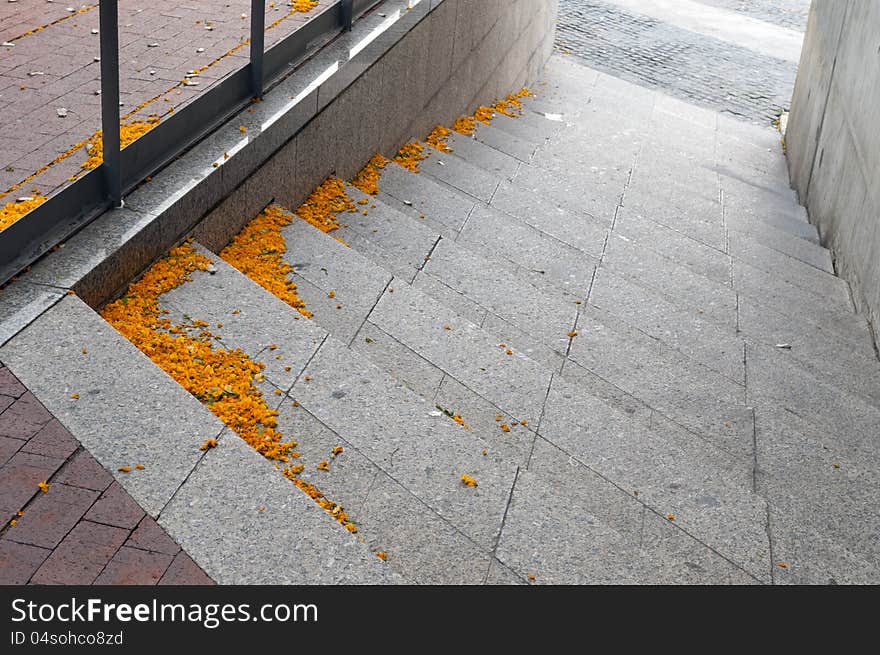 City stairs with fallen yellow petals of acacia flowers