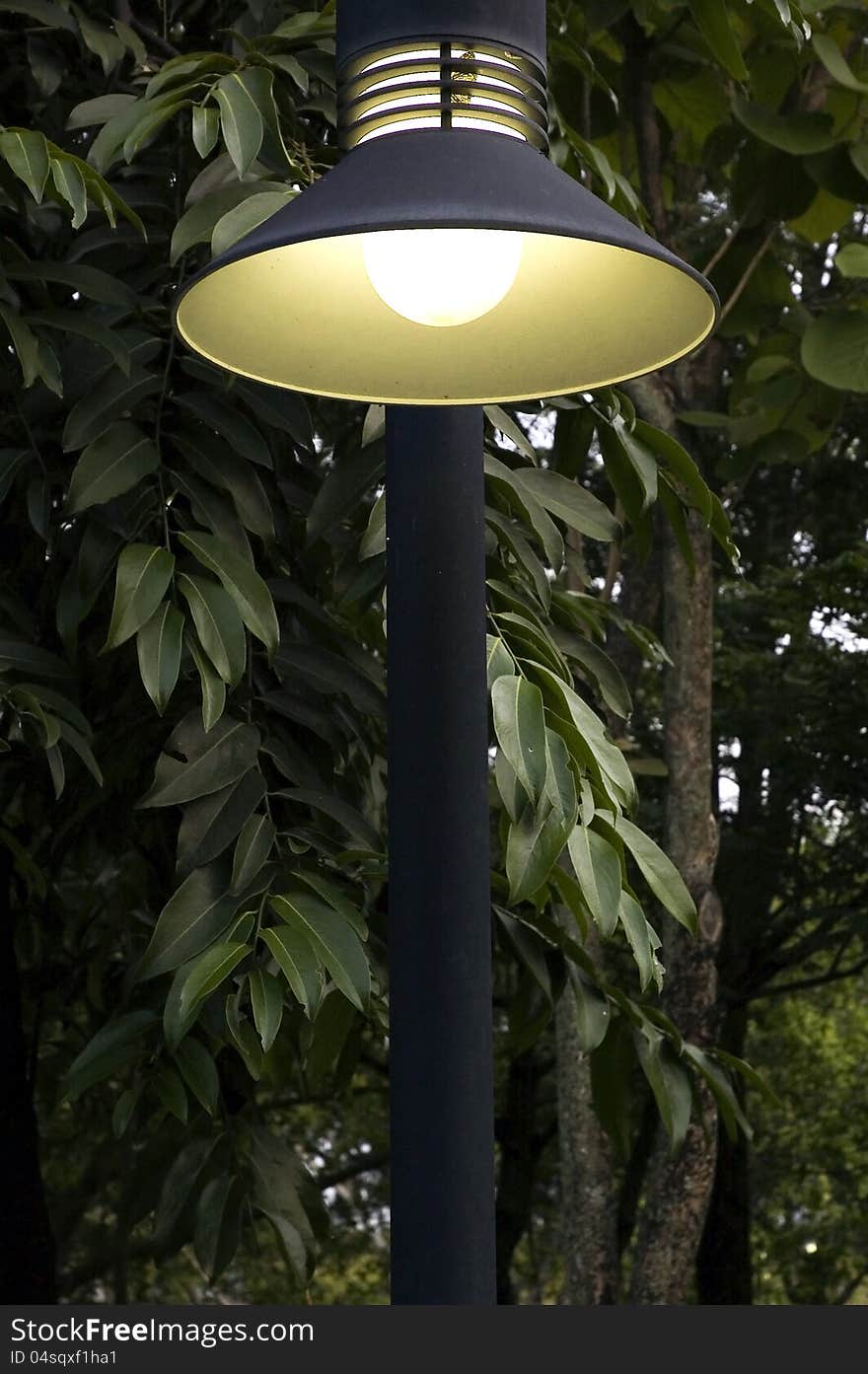 Lighting In Park