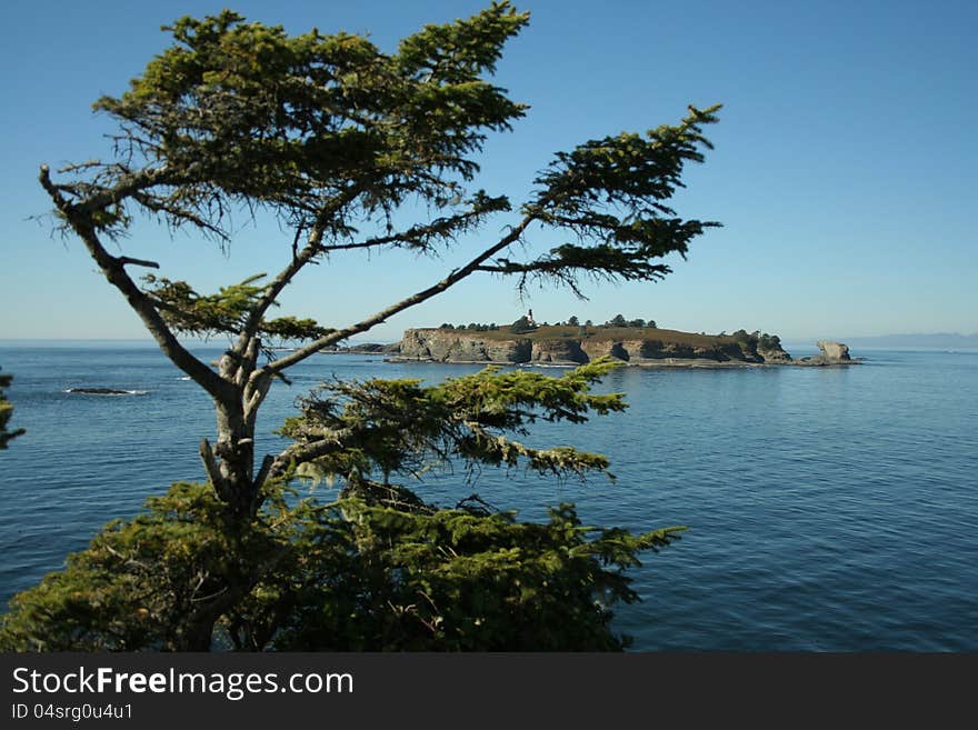 Tatoosh Island