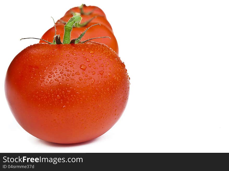 Line of tomatoes   on white