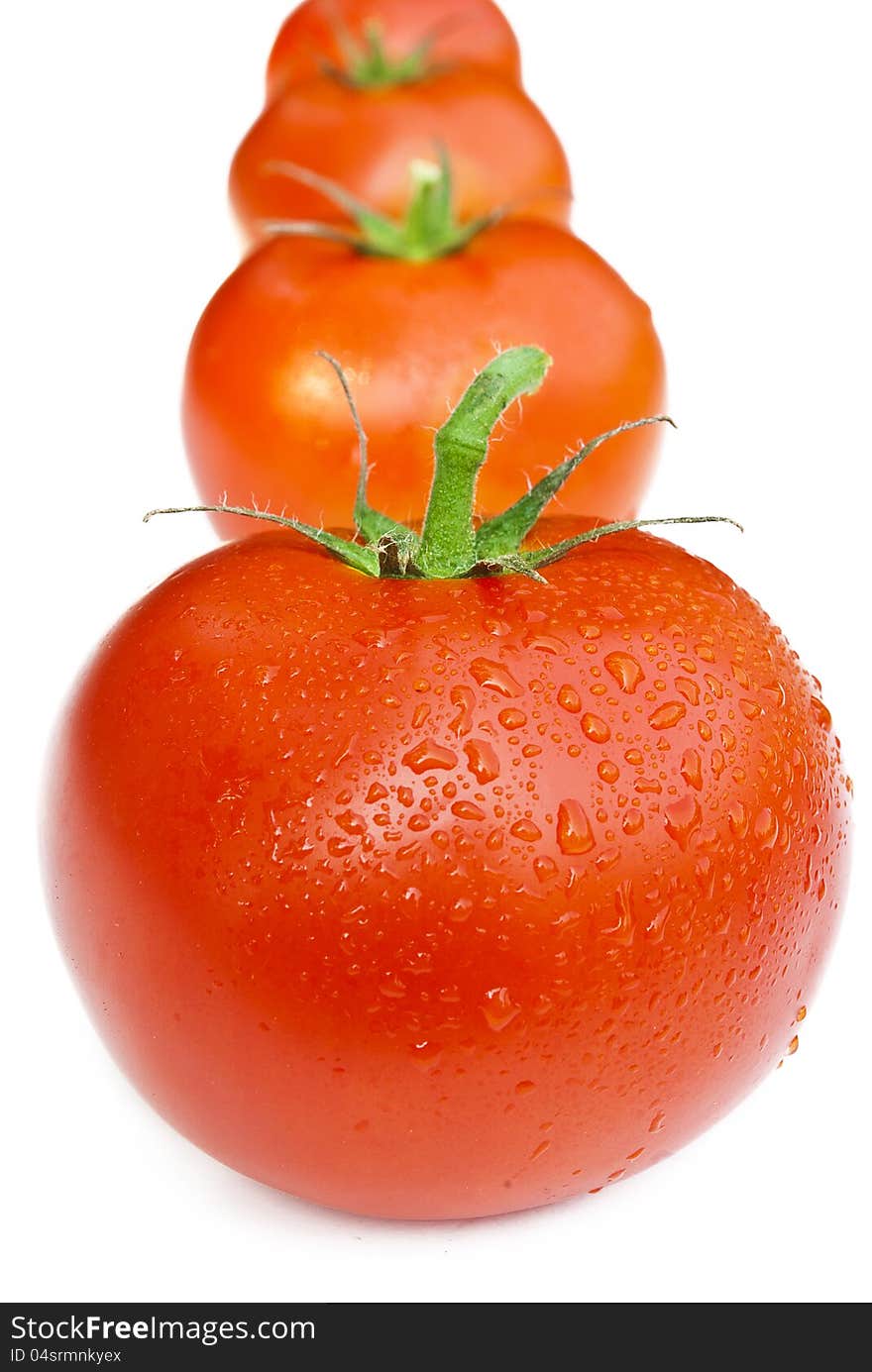 Line of tomatoes   on white